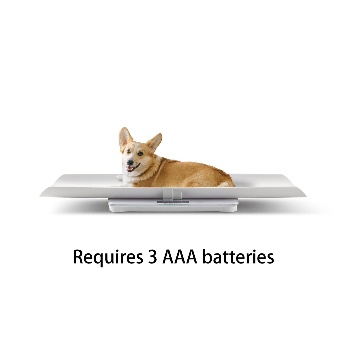 400lbs Pet Weight Scale with LED Screen G411
