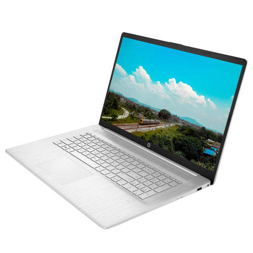 17.3'' Touchscreen Laptop AMD Ryzen 5 16GB RAM 512GB SSD 1TB HDD Silver X318