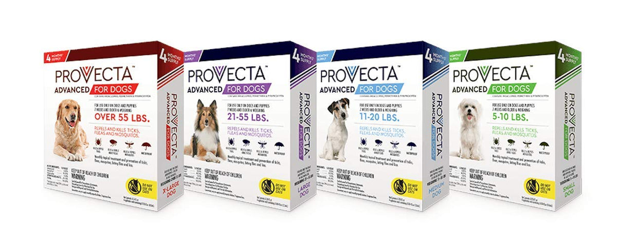 Small 5-10 lb Dog (Pack of 2) K795