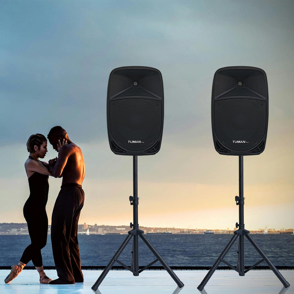 10 Inch 1200W PA Speaker System N21978