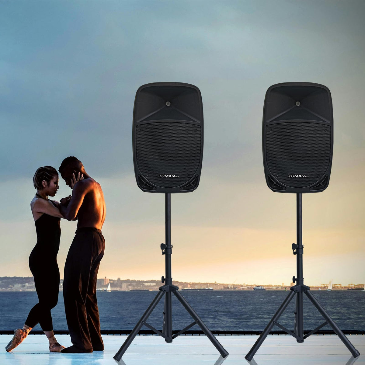 10 Inch 1200W PA Speaker System N21978
