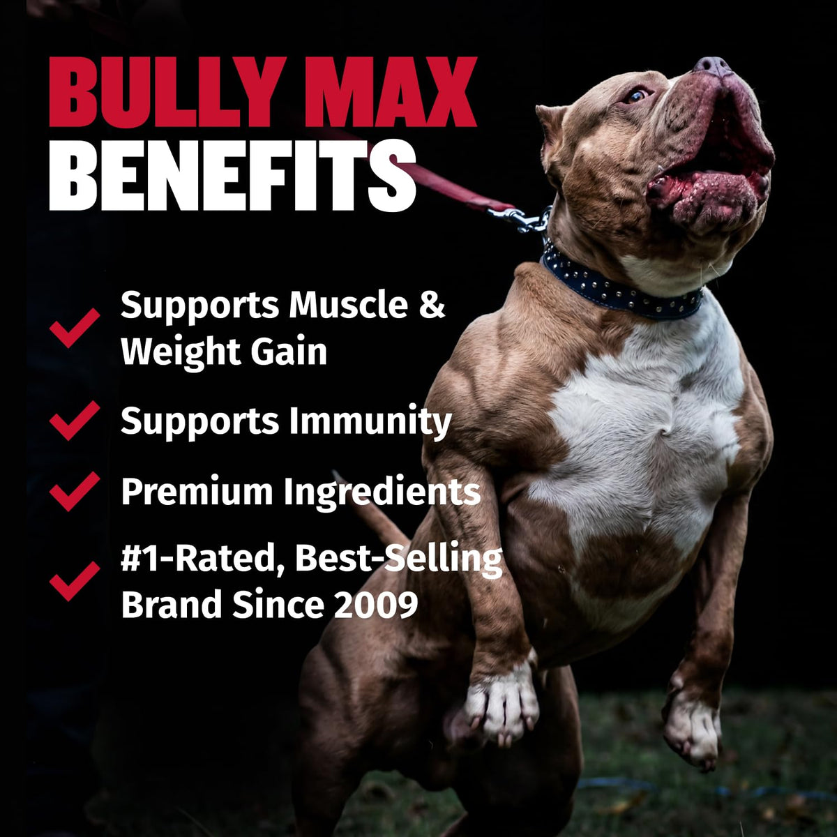 2-in-1 Dog Muscle Builder Chewable Tablets Y559273