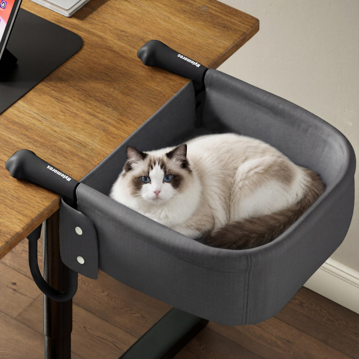 Cat Desk Bed for Large Cats 50lbs E455415