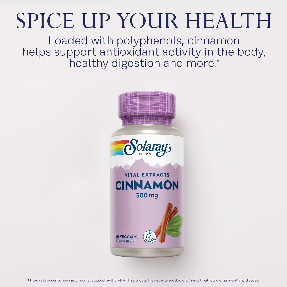 Cinnamon Extract 300 Mg 60 VegCaps B898