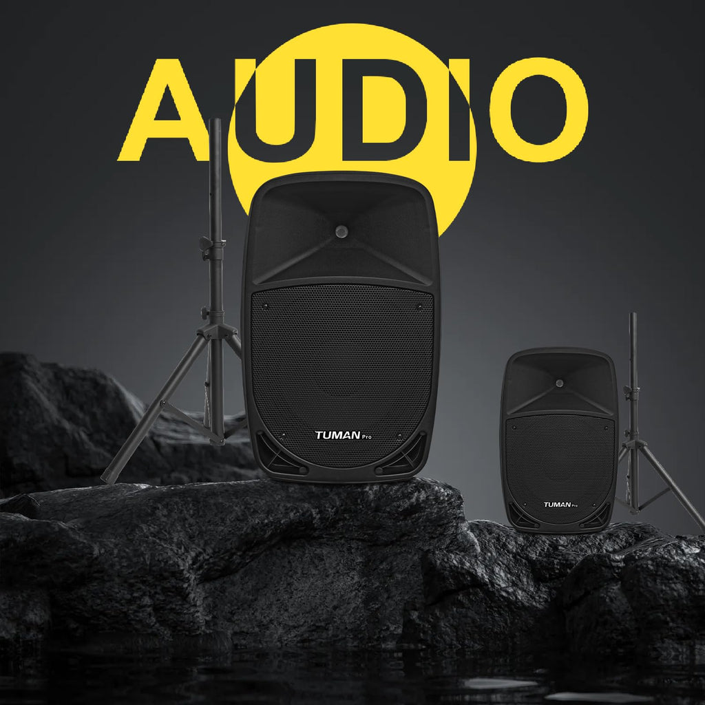 10 Inch 1200W PA Speaker System N21978