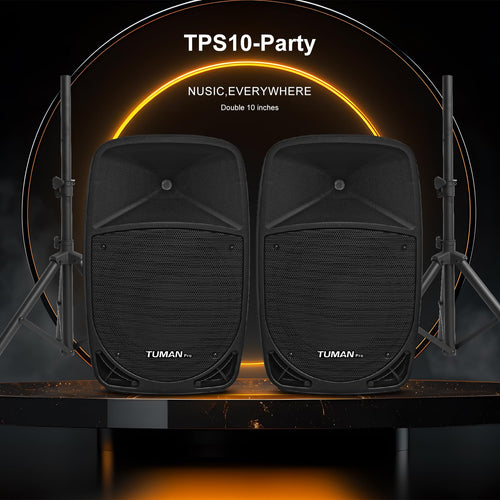 10 Inch 1200W PA Speaker System N21978