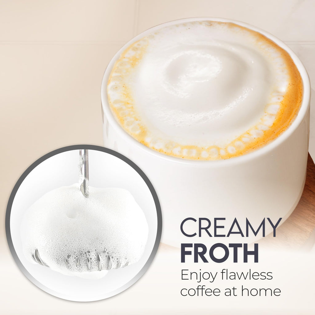 Handheld Milk Frother with AA Batteries C751