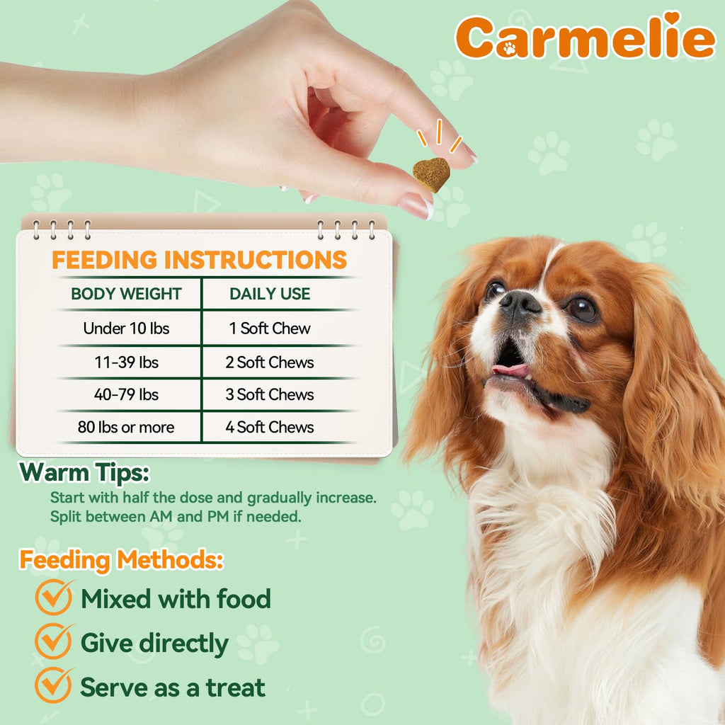 Flea and Tick Prevention for Dogs N97281
