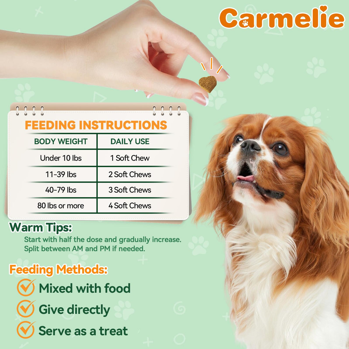 Flea and Tick Prevention for Dogs N97281