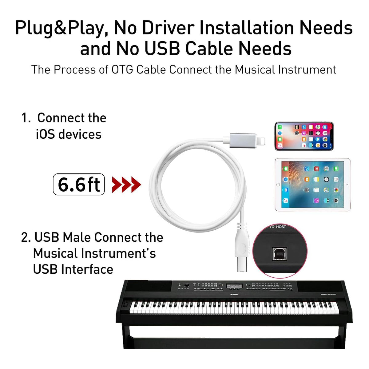Lightning to MIDI Cable, 6.6FT Type B OTG X90486