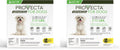 Small 5-10 lb Dog (Pack of 2) K795