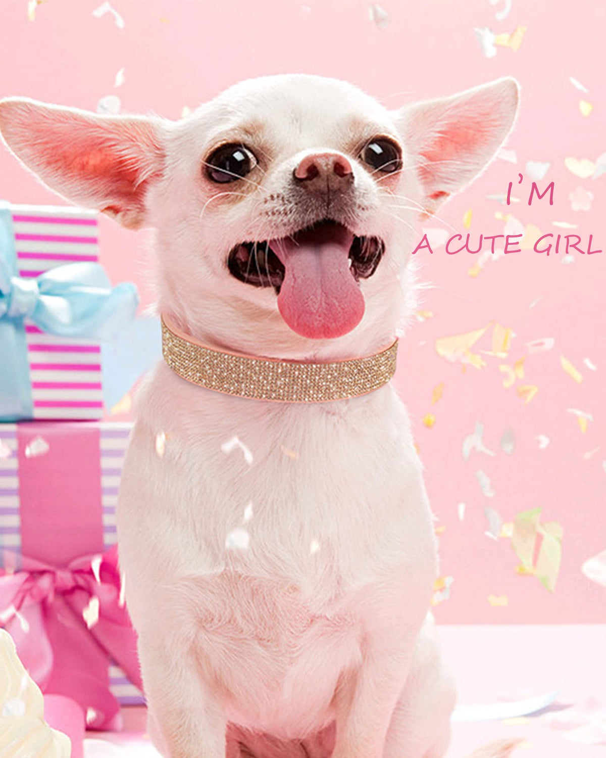 Pink Adjustable Leather Suede Rhinestone Dog Collar W399530