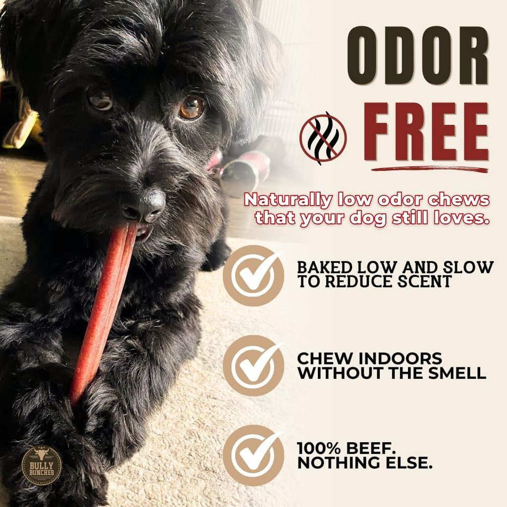 6" 5 Pack Odor-Free Bully Sticks Dog Treats M2532