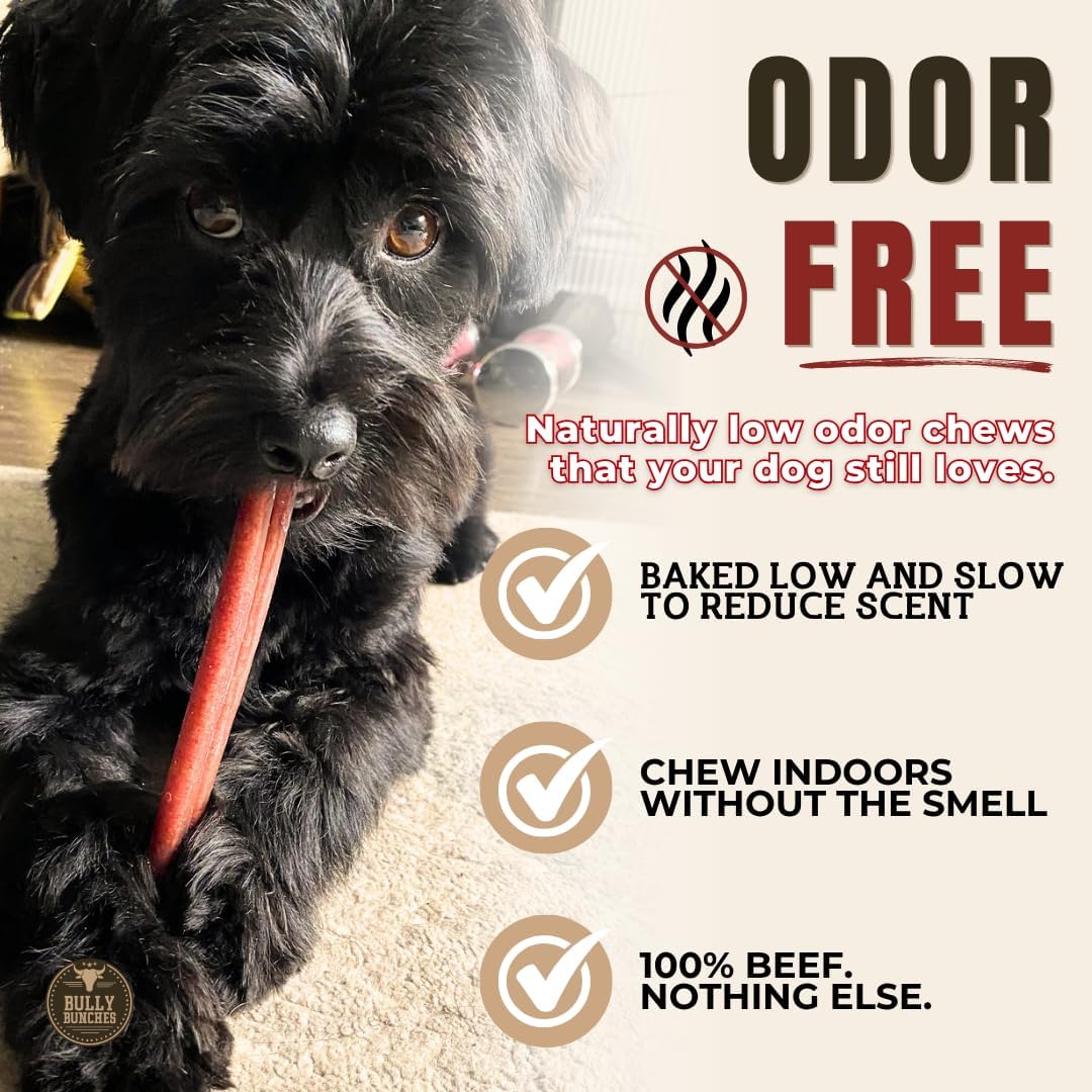 6" 5 Pack Odor-Free Bully Sticks Dog Treats M2532