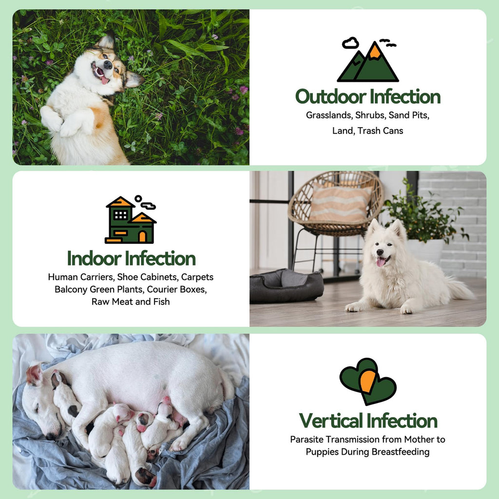 Flea and Tick Prevention for Dogs N97281