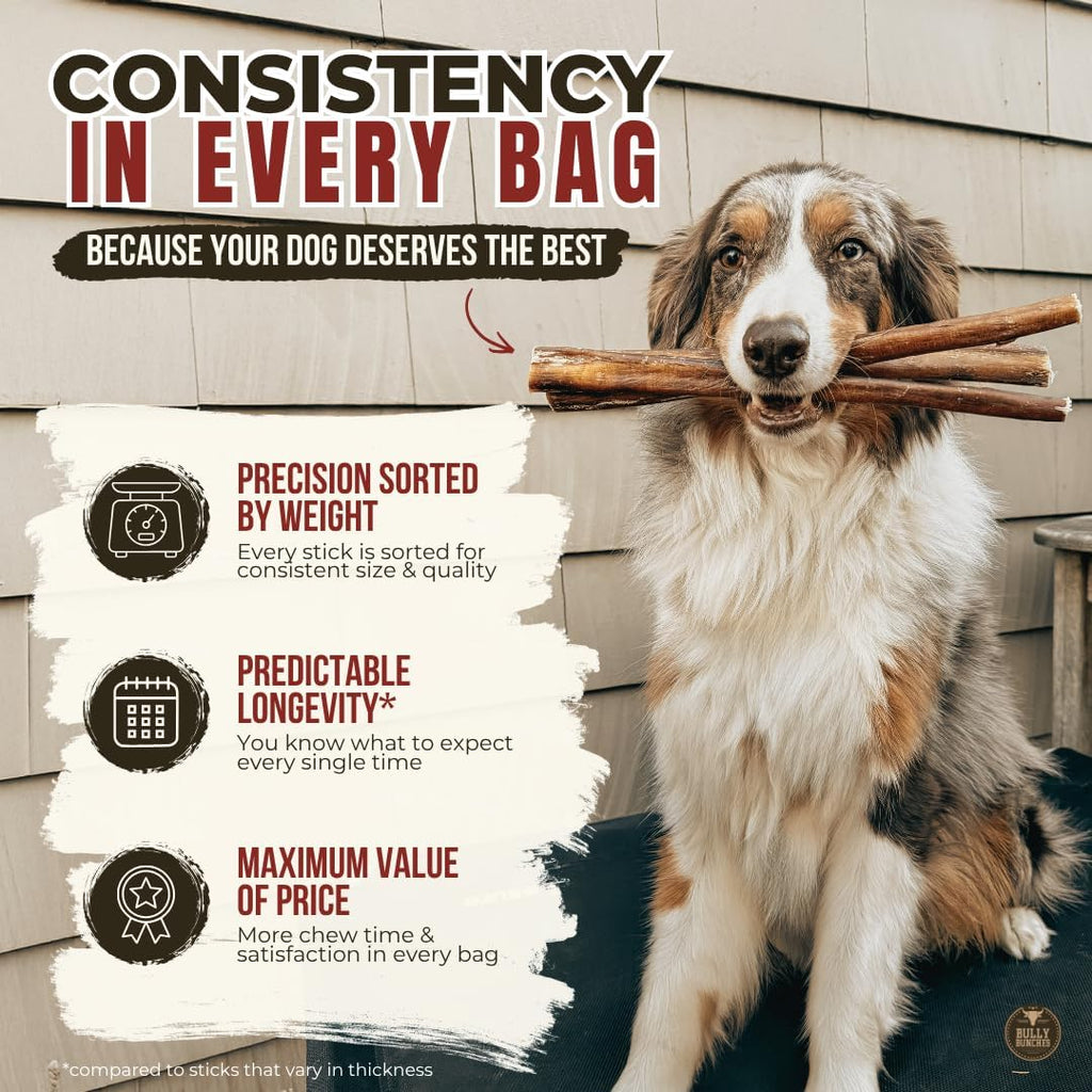 6" 5 Pack Odor-Free Bully Sticks Dog Treats M2532