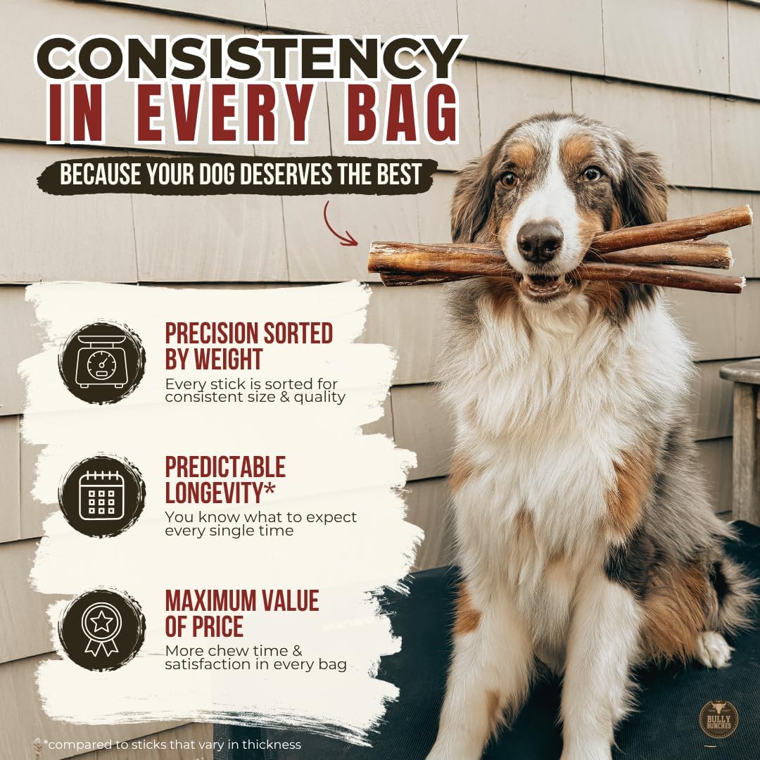 6" 5 Pack Odor-Free Bully Sticks Dog Treats M2532