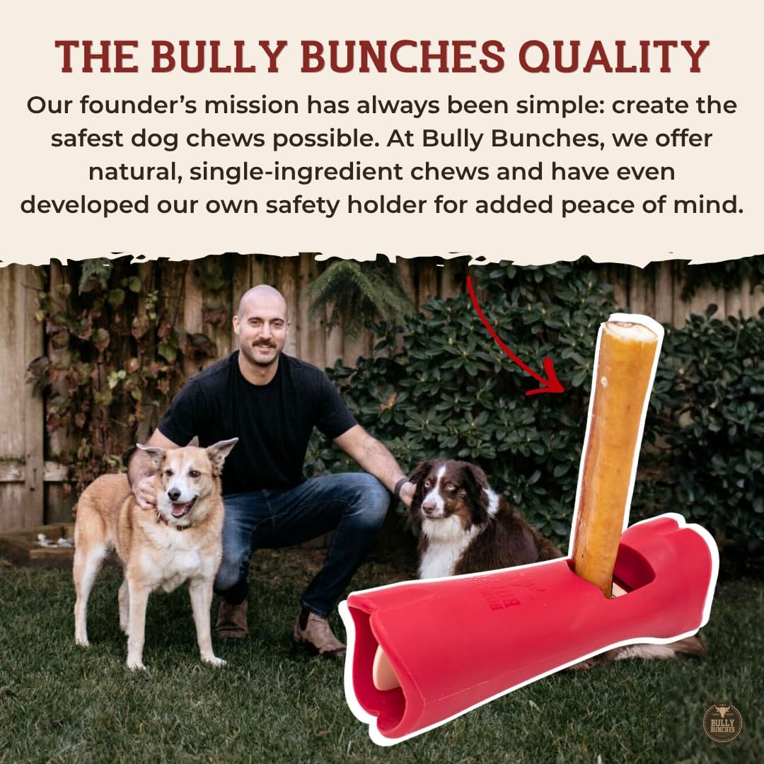 6" 5 Pack Odor-Free Bully Sticks Dog Treats M2532