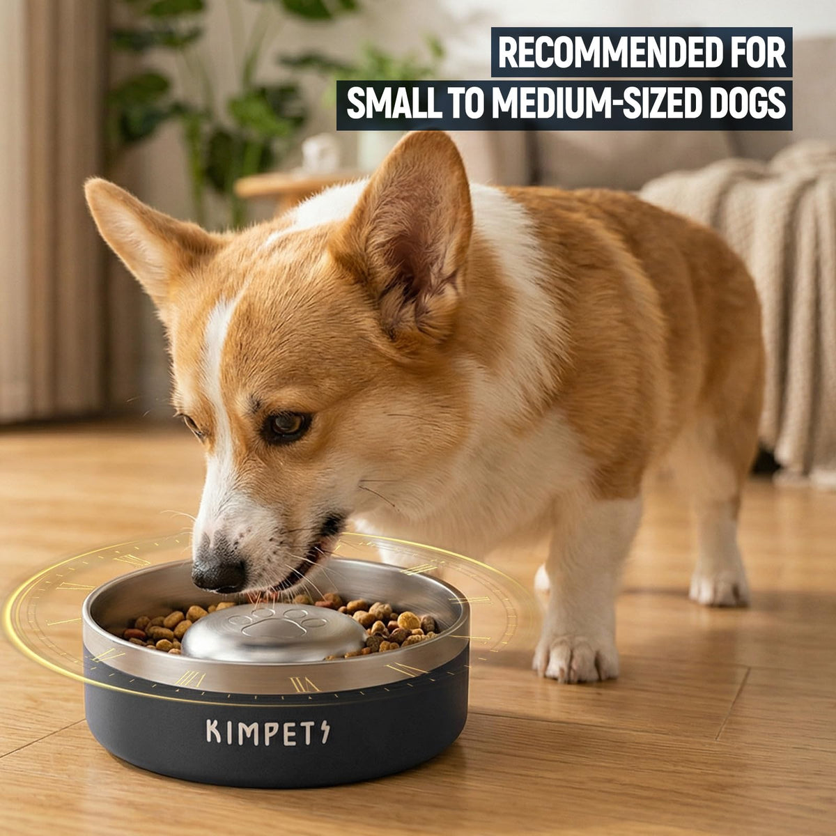 Black 2 Cups Stainless Steel Non-Slip Dog Slow Feeder Bowl Q141