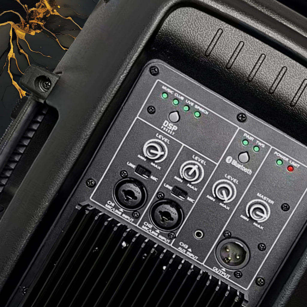 10 Inch 1200W PA Speaker System N21978