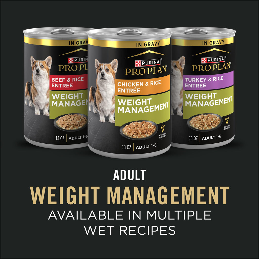Weight Management Chicken & Rice Dry Dog Food 6 lb Bag A88248