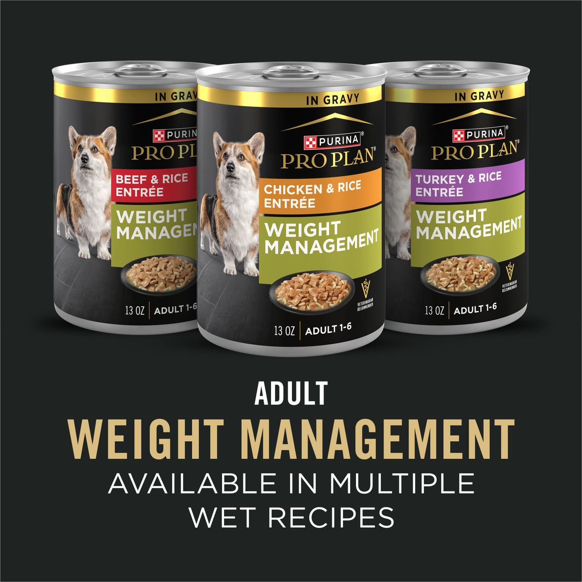 Weight Management Chicken & Rice Dry Dog Food 6 lb Bag A88248