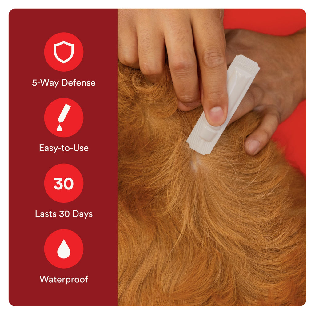 7 Way DeWormer for Small Dogs 6-25 lbs (6 Count) + Flea and Tick Prevention for Small Dogs 4-10 lbs (4 Count) Bundle J9684