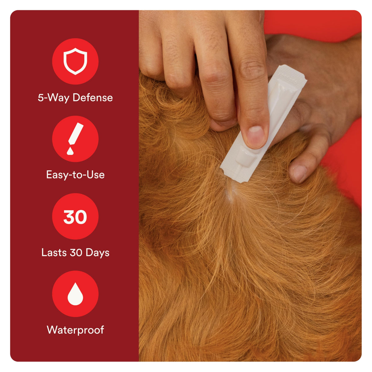 7 Way DeWormer for Small Dogs 6-25 lbs (6 Count) + Flea and Tick Prevention for Small Dogs 4-10 lbs (4 Count) Bundle J9684