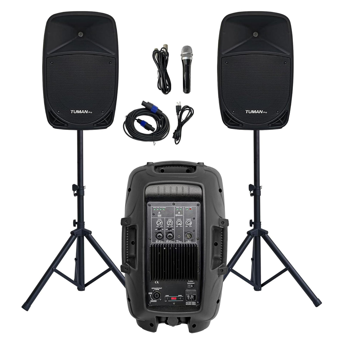 10 Inch 1200W PA Speaker System N21978