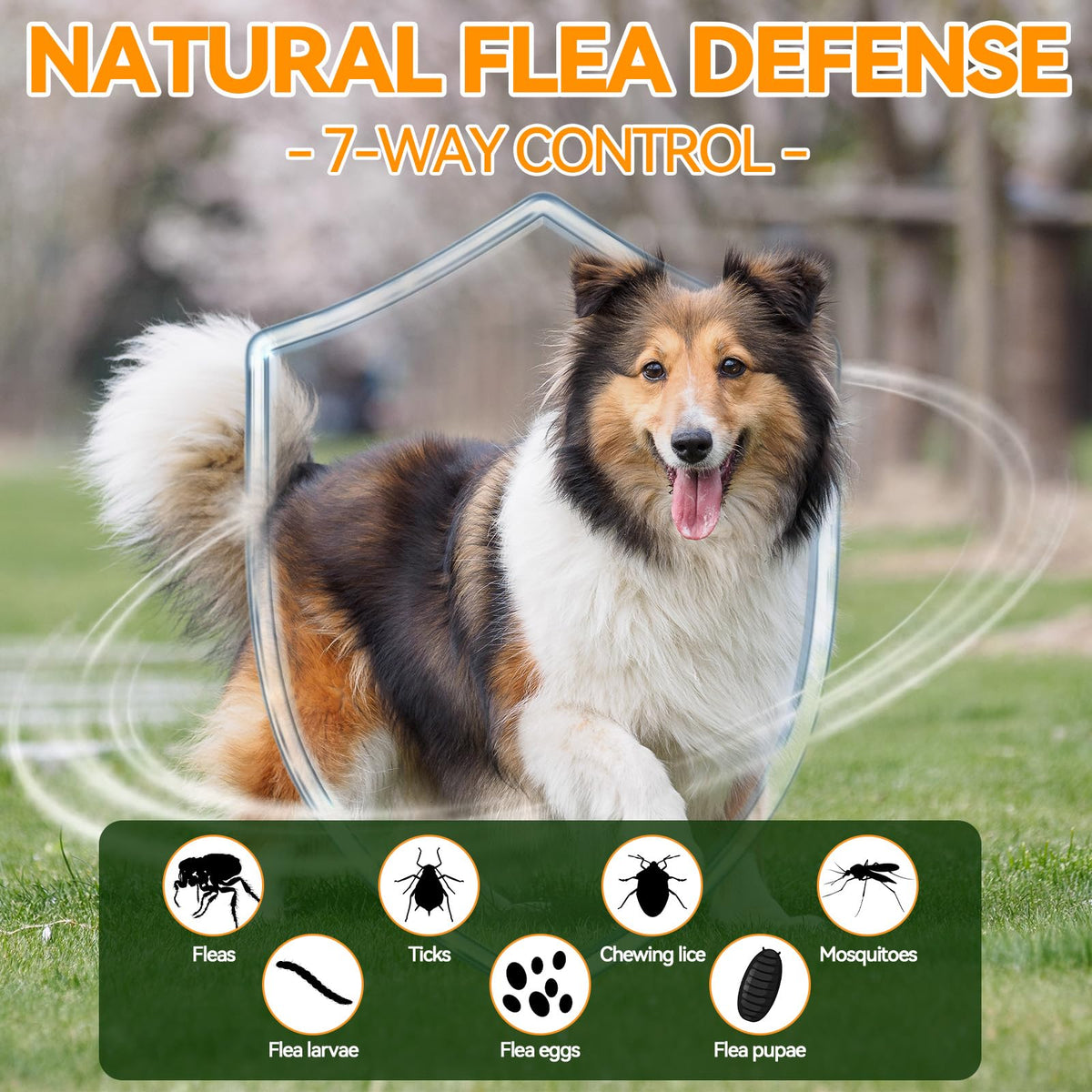 Flea and Tick Prevention for Dogs N97281