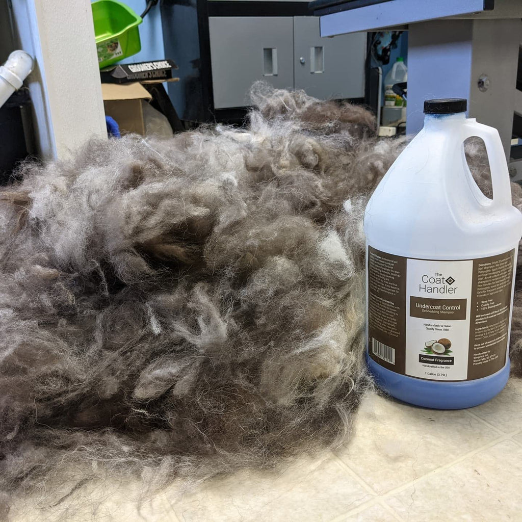 1 Gallon Deshedding Dog Shampoo K18617