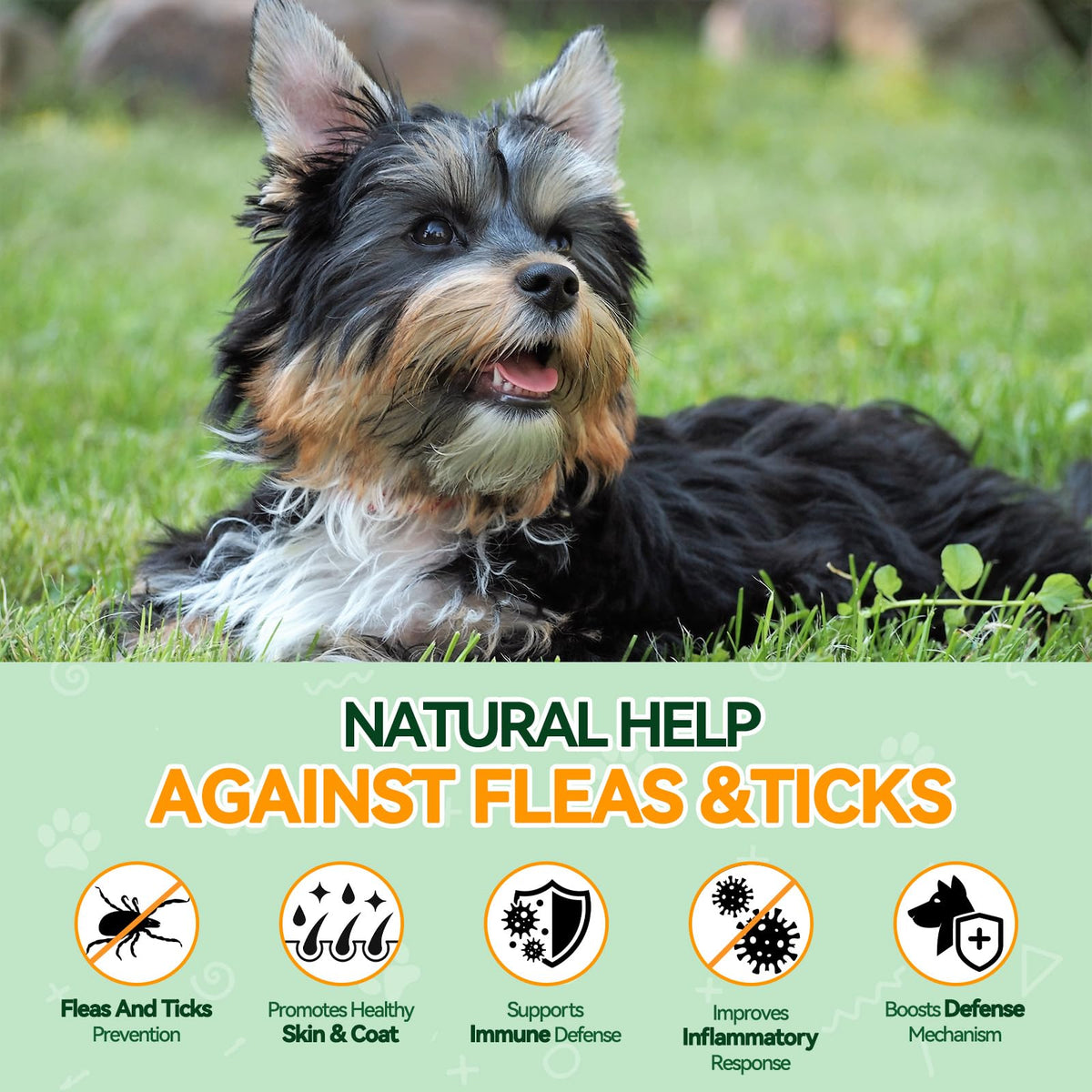 Flea and Tick Prevention for Dogs N97281